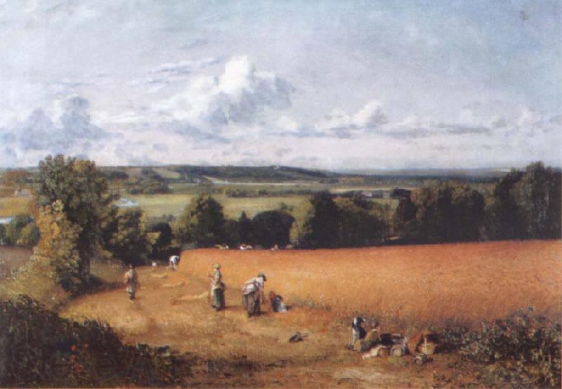 John Constable The wheatfield Spain oil painting art